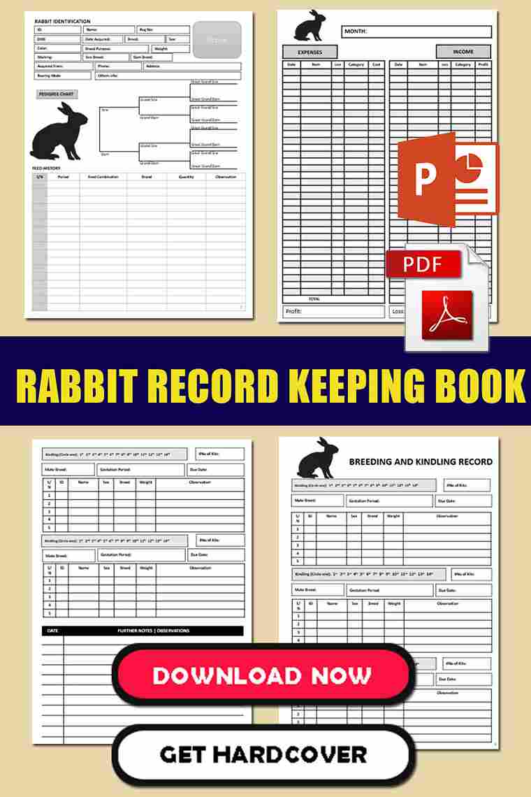  Rabbit Record Keeping Forms PDF 
